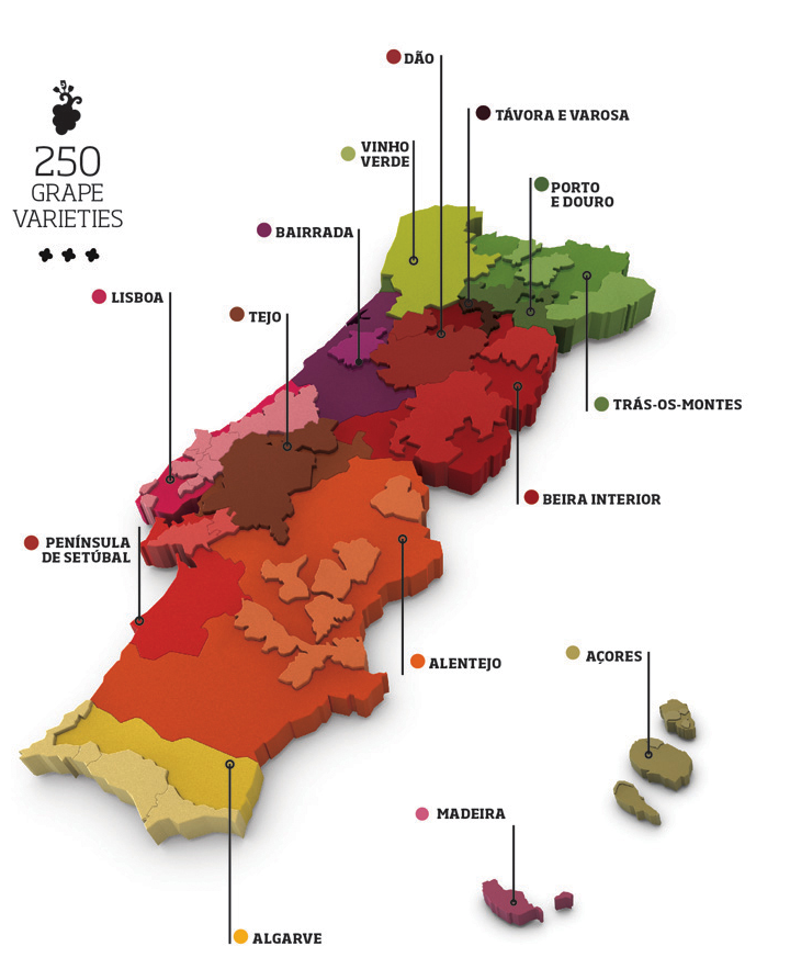 Les Régions du Vin : Le Portugal. Les différentes régions vinicoles.