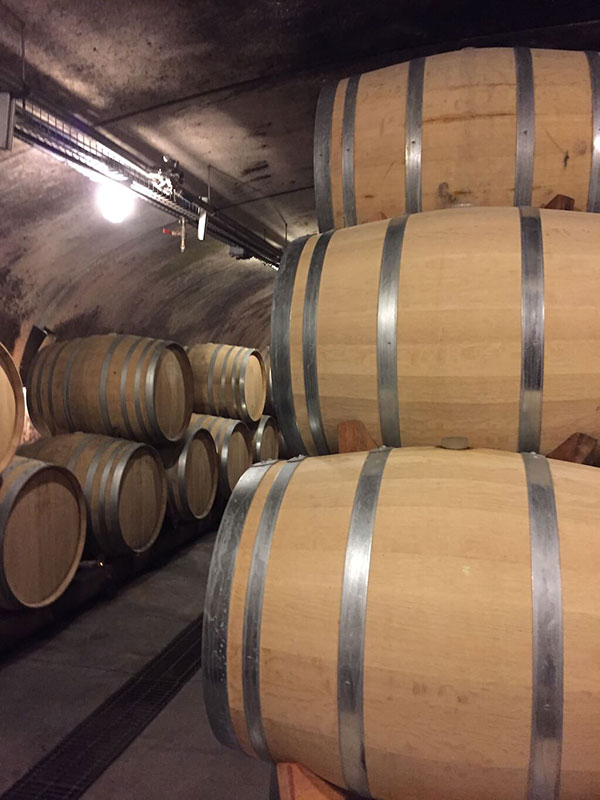 Tawse-Winery---Cave-et-Barriques