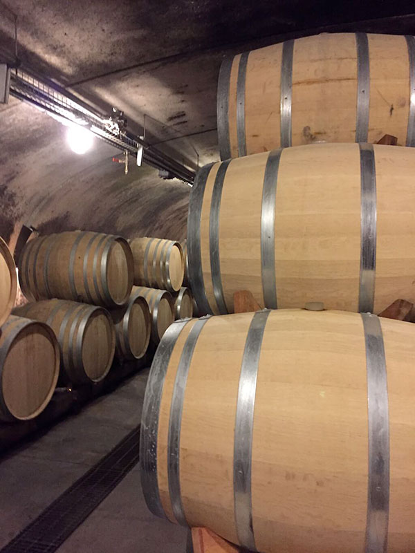 The cellar and barrels at Tawse winery