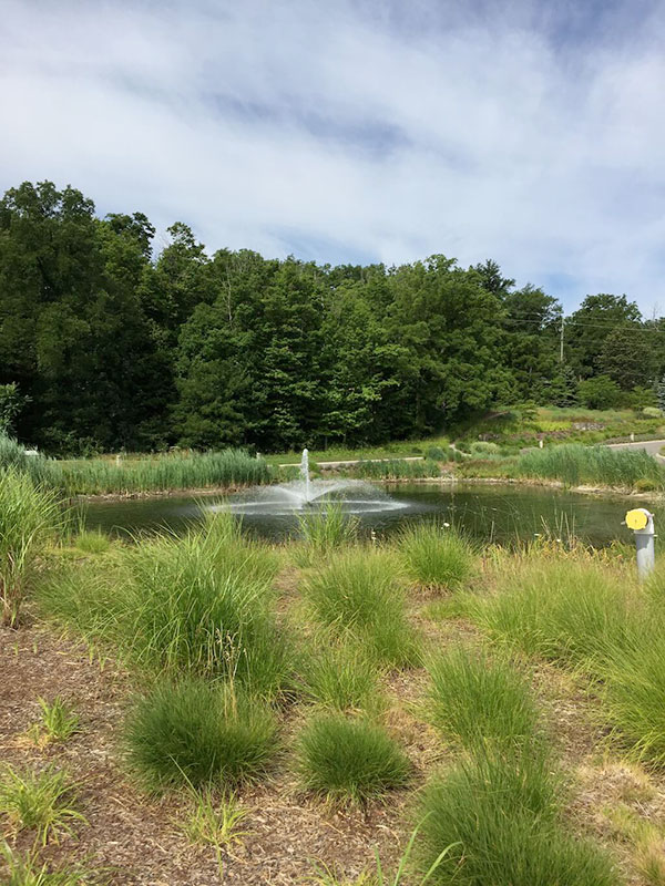 The fountain at Tawse Winery