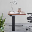 Places for new decor