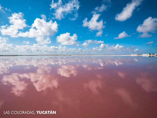Pink lagoon of Las Coloradas - Direction Mexico to enjoy the sun