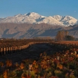 Les Régions du Vin - Argentine - Couverture