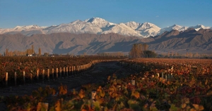 Les Régions du Vin - Argentine - Couverture