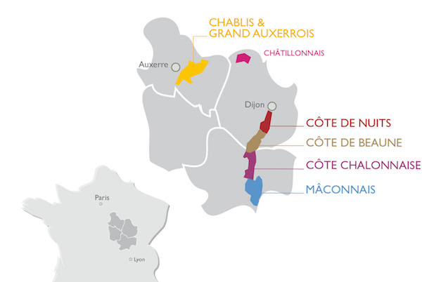 The Wine Regions : Burgundy and it's five wine-producing regions