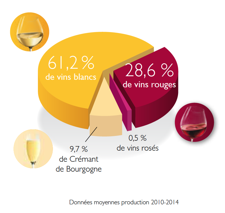 Les régions du Vin : La Bourgogne et ses vins