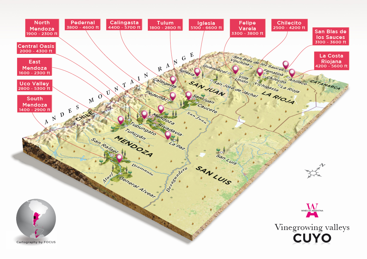 The Wine Regions : Argentina - Cuyo
