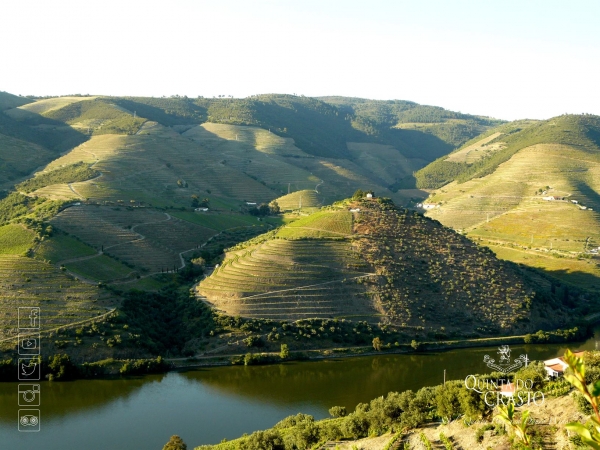 Quinta do Crasto - The Wine Regions : Portugal