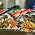 Étalage de poissons et fruits de mer de la Poissonnerie La Mer