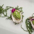 Oysters, mignonette, and watercress, Acadian caviar by Chef Gregory Faye - Cover