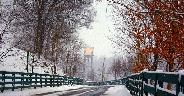 Buffalo Trace Distillery - Drew Mayville - Cover