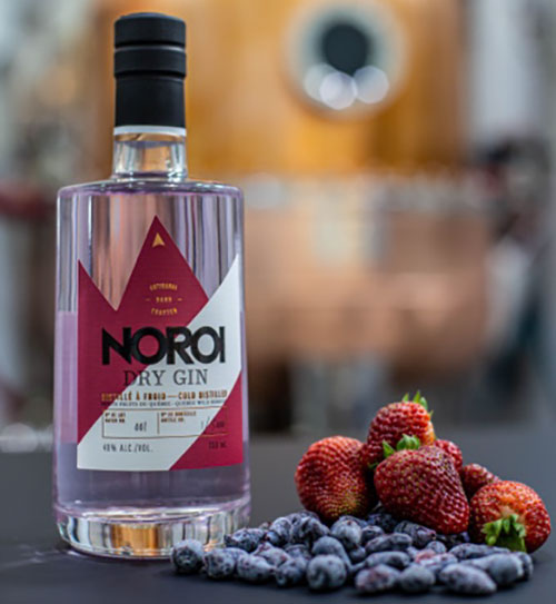 NOROI Dry Gin - Quebec Berries - The Desaltera by Gentologie - Ending April