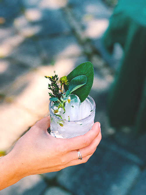 Old Sage Cocktail with Menaud Gin by Gabrielle Belley