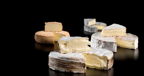 Fromagerie de l'Isle ---Couverture