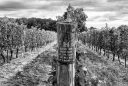 Hidden-Bench - Couverture-Boire-Local