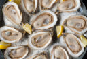 Oysters 101 - The essentials