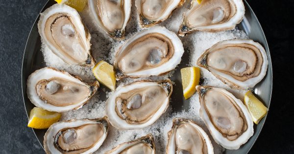 Oysters 101 - The essentials