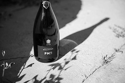 Champagne Bollinger PN-VZ15-bouteille