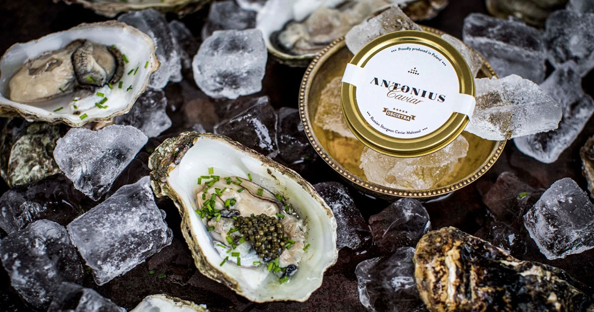 Huîtres-&-Caviar---Couverture