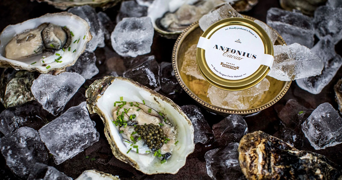 Oysters-&-Caviar---Cover