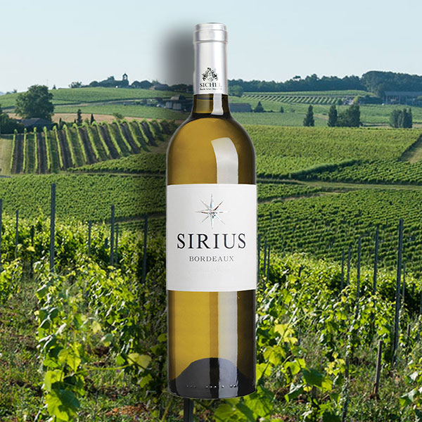 Bordeaux-Sichel-Sirius-2020---Vin-Blanc