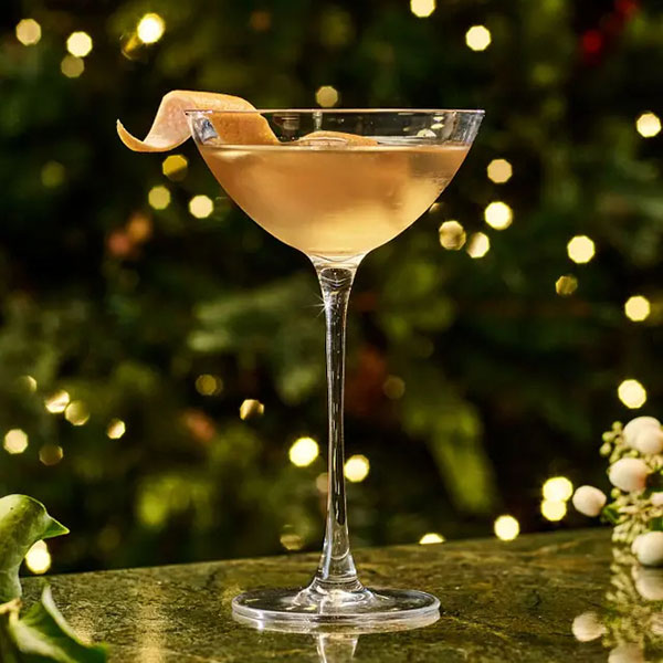 50-50-Martini---Tanqueray---Spirits-and-more-for-the-Holidays