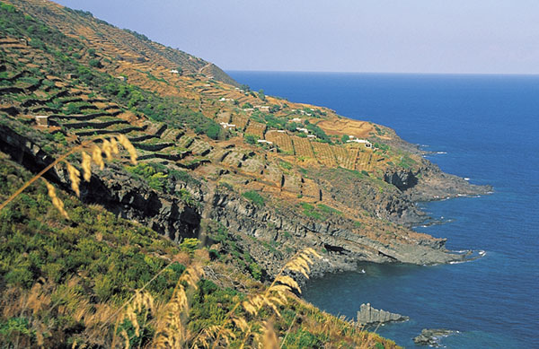 Donnafugata---Île-de-Pantelleria