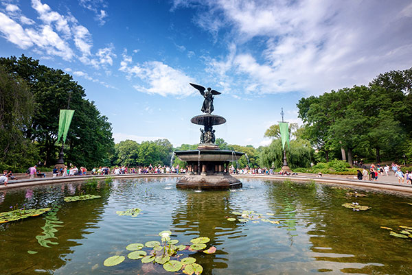 Central-Park---48-hours-in-New-York-City