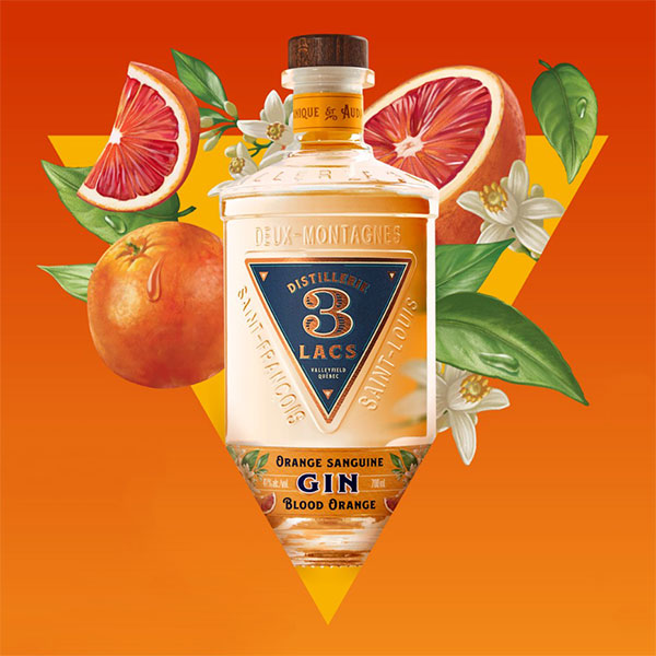 Gin-Orange-Sanguine---Distillerie-3-Lacs---Bouteille