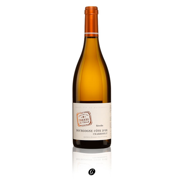 Vin-Blanc---Domaine-Des-Terres-de-Velle-Bourgogne-Côte-d’Or-2020---Bottle