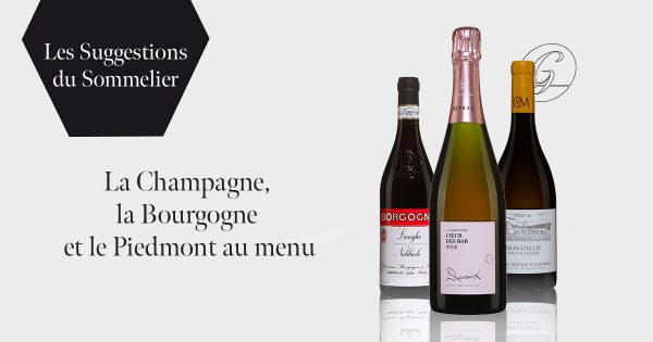 Les-Suggestions-du-Sommelier---La-Champagne,-la-Bourgogne-et-le-Piedmont-au-menu---Couverture
