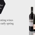 The Sommelier Suggestions - Enchanting wines for an early spring