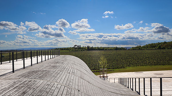 The LAHOFER vineyards in Czech RepublicPhoto: Normand Boulanger | Gentologie
