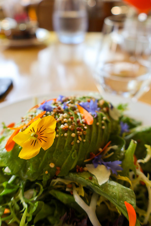 Zoom sur L'Avocat et les Fleurs d'Été, une salade verte vibrante avec une vinaigrette à la Moutarde au Miel faite avec du Miel de Fleurs Sauvages