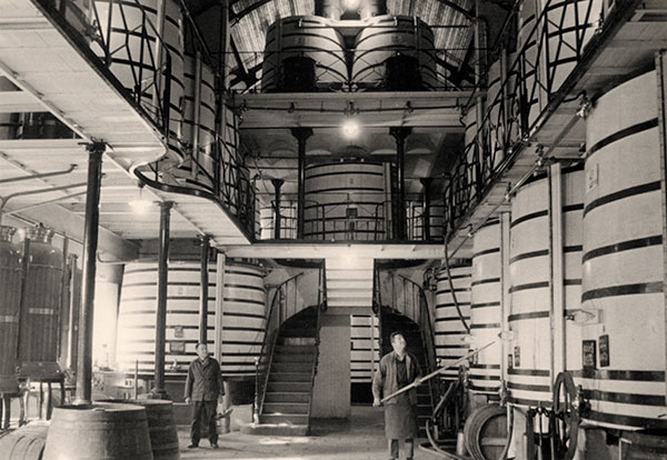 The Francis Cellar in its early days