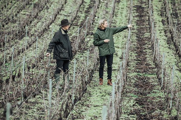 Bertrand Lhôpital et Ludovic du Plessis dans le vignoble de la Maison de champagne Telmont