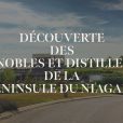 Vignobles et Distillerie de la Péninsule du Niagara