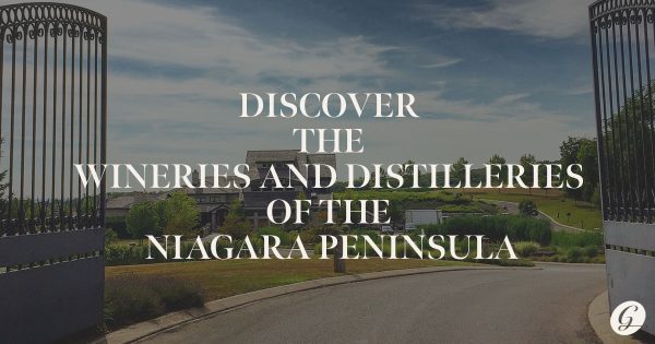 Discover the wineries and distilleries of the Niagara Peninsula