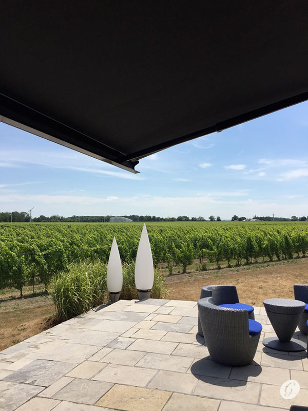 La vue du vignoble chez Stratus Vineyards - vignobles et distilleries de la Péninsule du Niagara