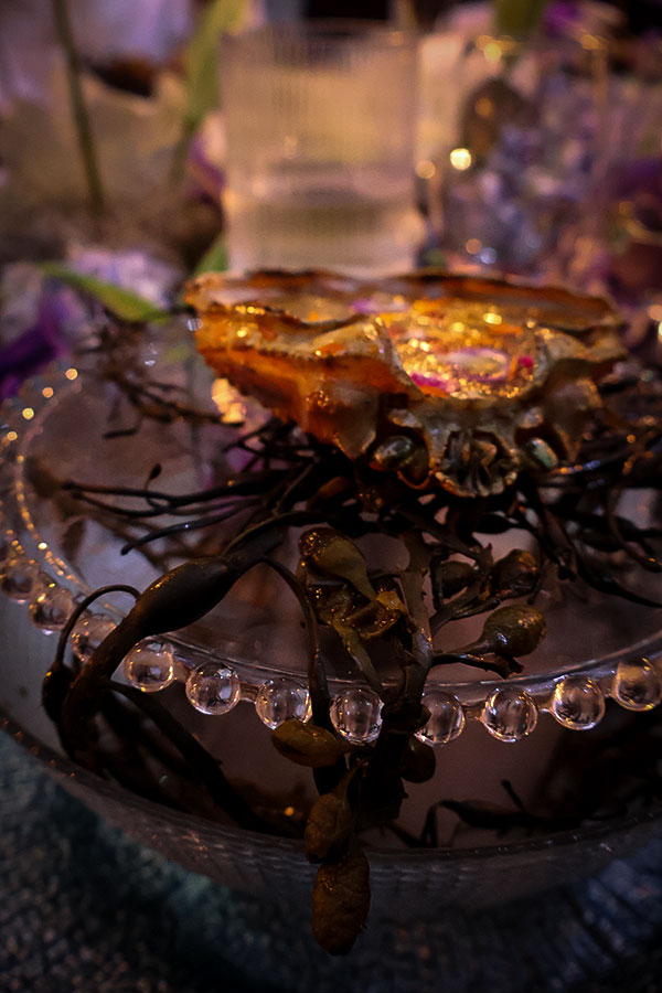 Inside the crab shell