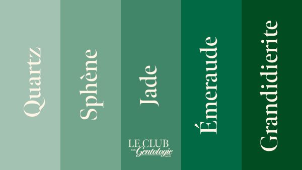 Nouveaux niveaux pour les abonnements au Club par Gentologie