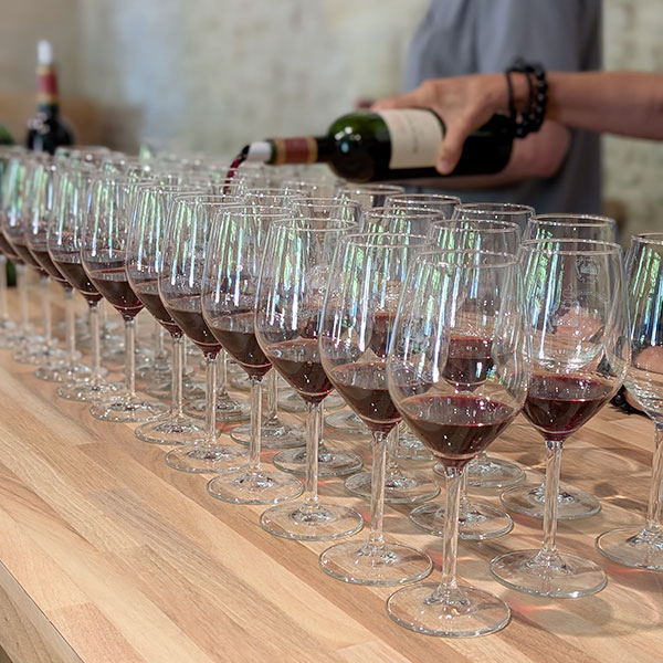 Croisière vinicole dans les grandes régions de France avec CroisiEurope - Dégustation au Château Maucaillou