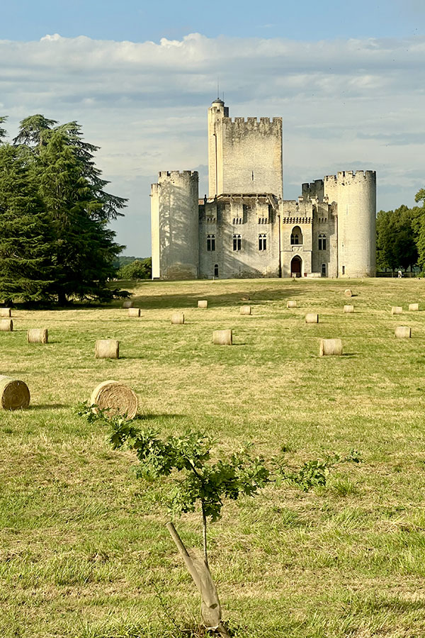 Croisière vinicole dans les grandes régions de France avec CroisiEurope - Le Château de Roquetaillade en Gironde