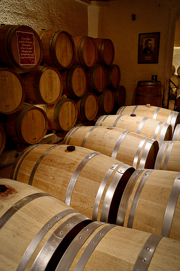 Croisière vinicole dans les grandes régions de France avec CroisiEurope - Des barriques de Sauternes