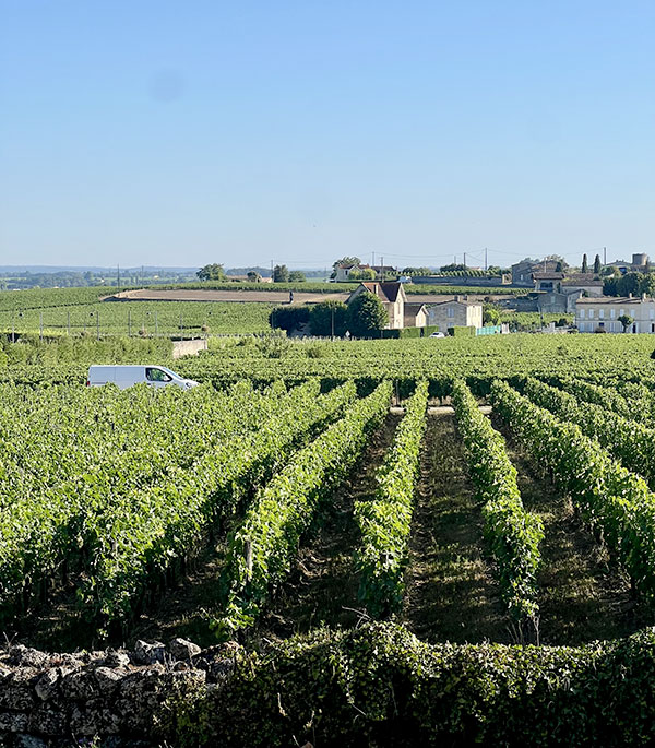 Croisière vinicole dans les grandes régions de France avec CroisiEurope - Des grands vignobles à perte de vue à Saint-Émilion
