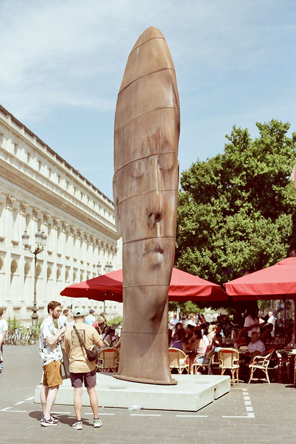 Wine Cruise across France’s Renowned Vineyards - Public art in Bordeaux