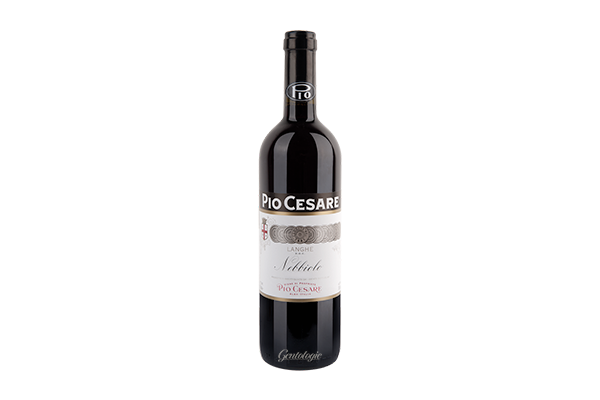 Pio Cesare Nebbbiolo Langhe - Red Wine