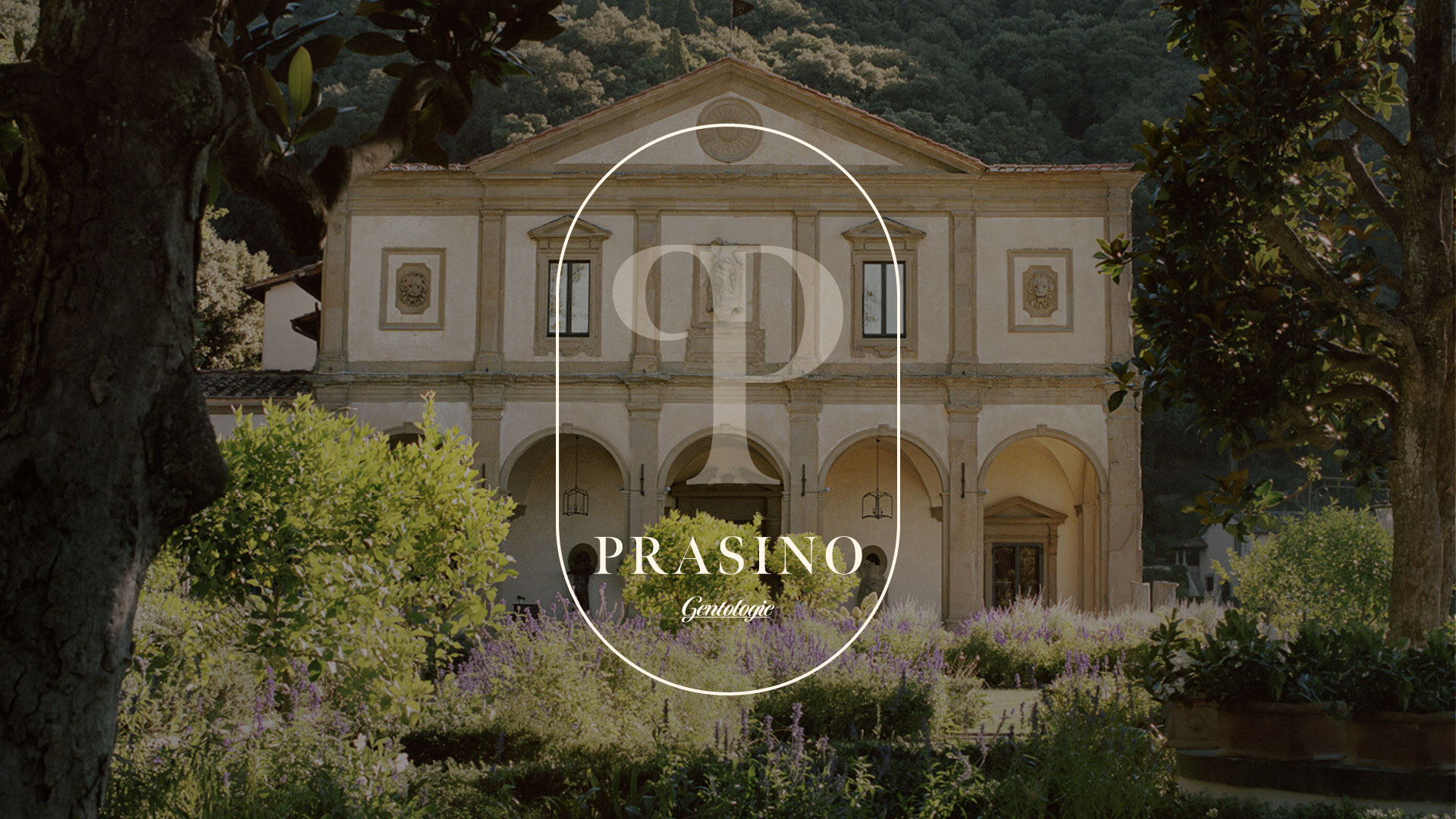 Prasino 06 - Cover