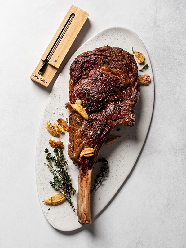 The Meater Pro Thermometer