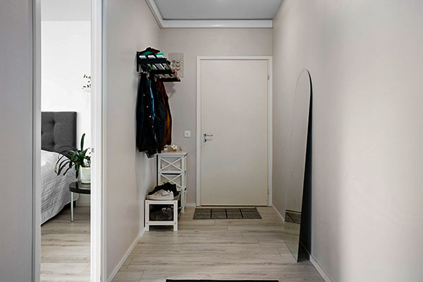 Miroir d'entrée
